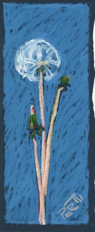 Voikukka sinisellä pohjalla